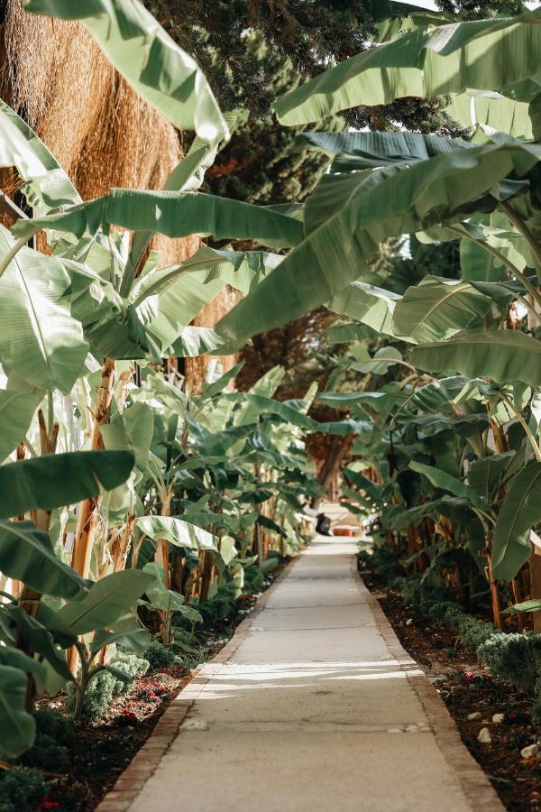 Maja Luxury Cesme Hotel Luaran gambar
